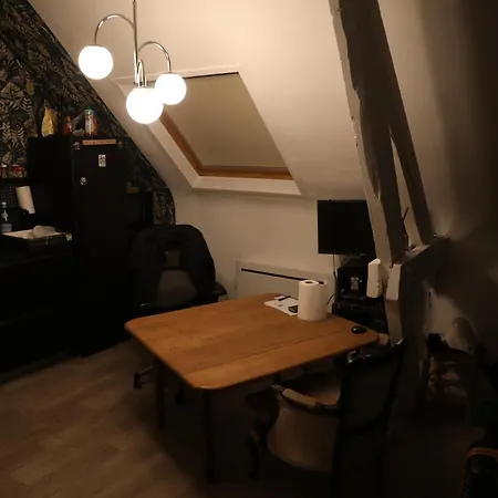 Spacieux Apartment Lille